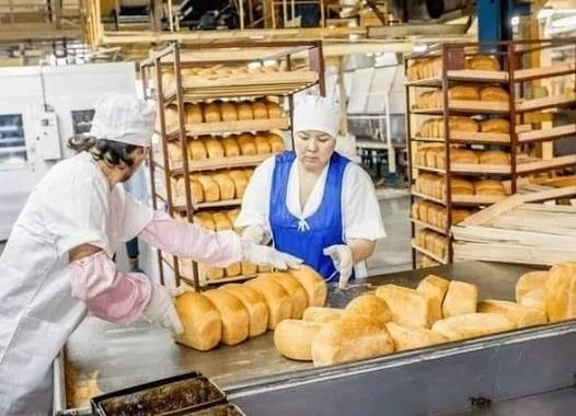 Packing Baker Operator Sevenum