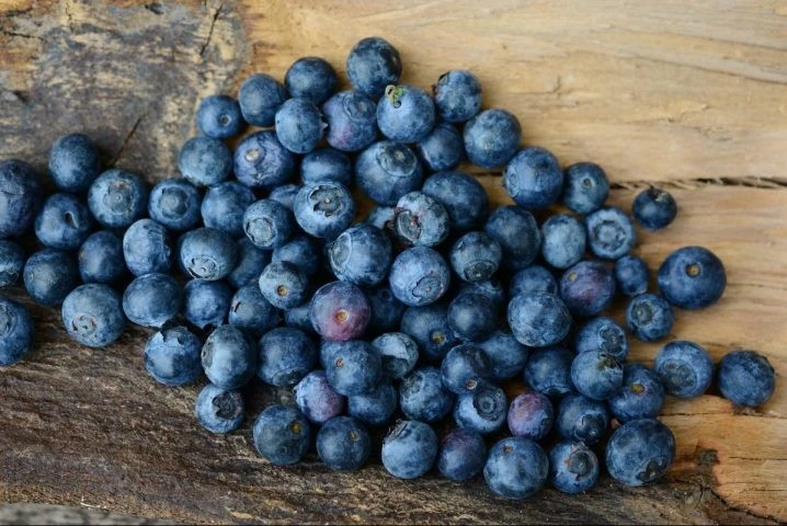 Lijnoperator Blauwe Bessen Horst